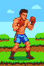 Boxer