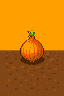 Onion